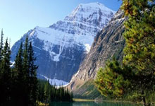 28圈体育- 我最闪亮王栎鑫 